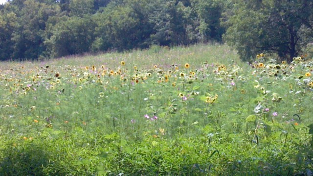 2014-08-18_14-47-51_528